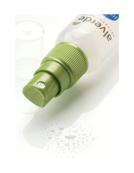 Spray de Fixation - ALVERDE