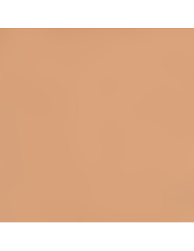 494 Brun orangé